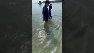 MARJAN ISLAND | RAS AL KHAIMAH | SWIMMING