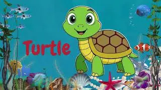 SEA ANIMALS #LIST OF SEA ANIMALS NAME IN ENGLISH #different animals name # water animals VOCABULARY 