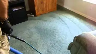 Carpet Cleaning Naples, Florida