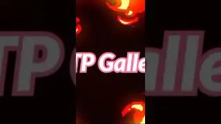 TP Gallery Shorts