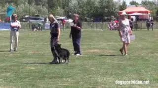 Finals - Valentina Balli + Mind the Dog Lycan