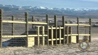 New Wildlife Crossings Help Migrating Animals