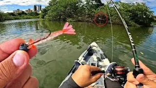 MUITOS ROBALOS COM MICRO CAMARÃO - É INACREDITÁVEL A QUANTIDADE DE PEIXE NESSE LUGAR. ULTRALIGHT