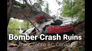 WW II Bomber Crash Ruins in a Lush Rainforest, near Tofino, Vancouver Island B.C. Canada