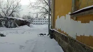 16 января 2026 г.