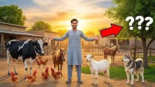 Lahore Pakistan Big Zoo 🦁 | पूरा Zoo Tour | Family Vlog