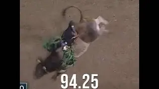Top Scores on Bruiser | PBR