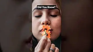 Amazing what the human nose can do 👃🤯 #facts #interestingfacts #learning #anatomy