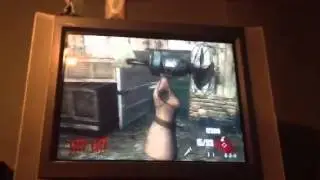 Invincible glitch:tranzit farm