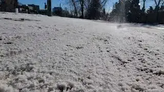 Look at the rooster tails