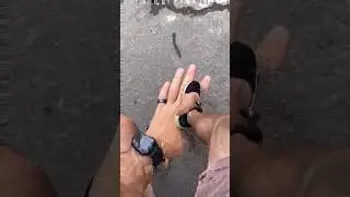 Tricky hand move 🤫🦍