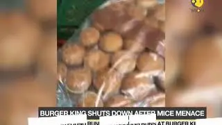 Burger King shuts down after mice menace