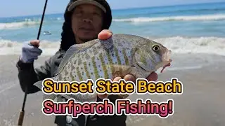 Sunset State Beach Surfperch Fishing