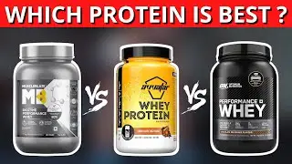 MuscleBlaze vs Optimum Nutrition vs Avvatar Whey Protein | Which One Should You Buy?