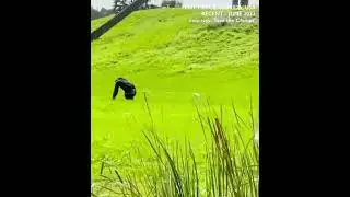Rescued chimpanzee sees open sky for first time after 28 years in cage