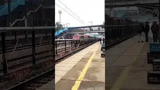 Maharaja Express [The Heaven] #railway #indianrailways #train  #shorts #viralshorts