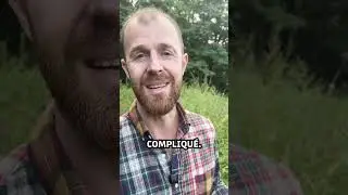 C&rsquo;est le moment de cueillir les racines de carotte sauvage ! 🥕