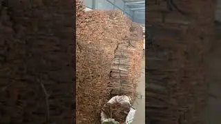 Cinnamon split - Cassia Split - Phalco Vietnam