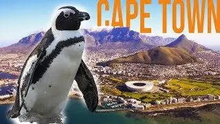 Helicopters and Penguins in Cape Town  | Travel Photography Vlog