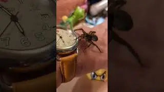 Она умирает!