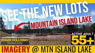 Imagery on Mtn Island Lake 55+ Waterfront [Charlotte NC]
