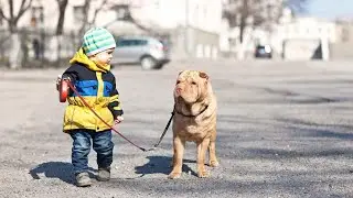 Are Pets Good for a Child with Autism? | Autism