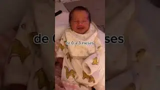 de 0 a 3 meses