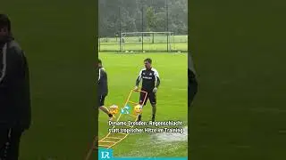 Regenschlacht bei Dynamo Dresden😳💦