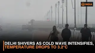 Delhi Shivers as Cold Wave Intensifies, Temperature Drops to 3.2&deg;C
