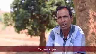 Addressing Water Scarcity in Tribal Regions through the 1000 Springs Initiative