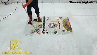 A Dirty mini Carpet Gets Professionally Clean