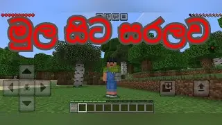 මුල සිට සරලව mincraft play video 