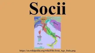 Socii