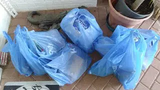 Kroger Grocery Delivery Service First Time Experience 2022