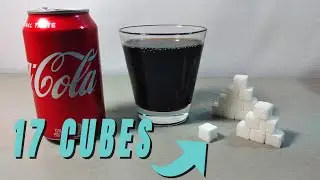 How Much Sugar Is In Coca-Cola Soda Can (12fl oz/355ml)