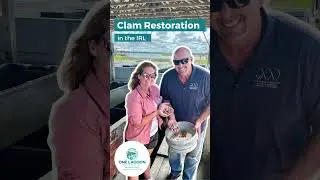 Using Drones in Clam Restoration in the Indian River Lagoon