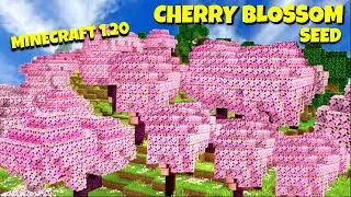 🌸 [GOD SEED 1.20] Minecraft CHERRY BLOSSOM SEED / CHERRY GROVE SEED! Best seeds Minecraft 1.20 Java