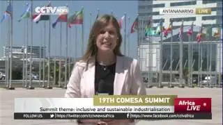 Madagascar hosts COMESA summit on sustainable regional trade