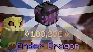 Buying the Ender Dragon Pet (Hypixel Skyblock)