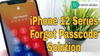 Remove Passcode lock. iPhone 12 pro, iPhone 12, iPhone 12 mini.