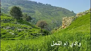 وادي ام النمل ربيع الاردن 2024 وغداء المنسف الاردني مع الفارسي الرحال
