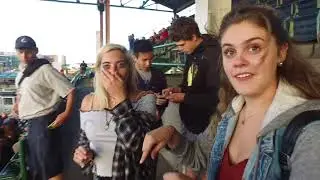 Green Day Bunny Upgrade! - Wrigley Field, Chicago 8/24/17