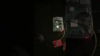 Amazon Echo Service on Raspberry PI