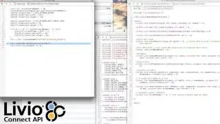 Livio Connect C++ introduction