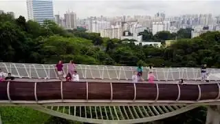 Henderson Waves bridge