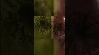 Goh catches a Regileki & Gary catches a Regidrago