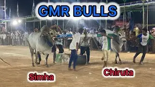 GMR BULLS  💥 సింహ 💥చిరుత 💥