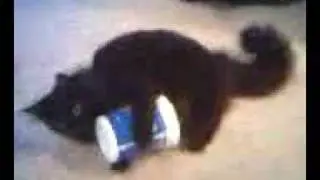 Video from My Phone (08-12-08_0923.3g2)