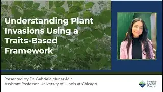 Understanding Plant Invasions Using a Traits-Based Framework