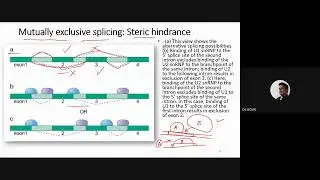 MolGen 38 RNA splicing 3 2021 05 06 at 20 25 GMT 7